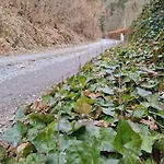 Feriehus Le Vieux Pont - Maison De Au Bord De L'eau *