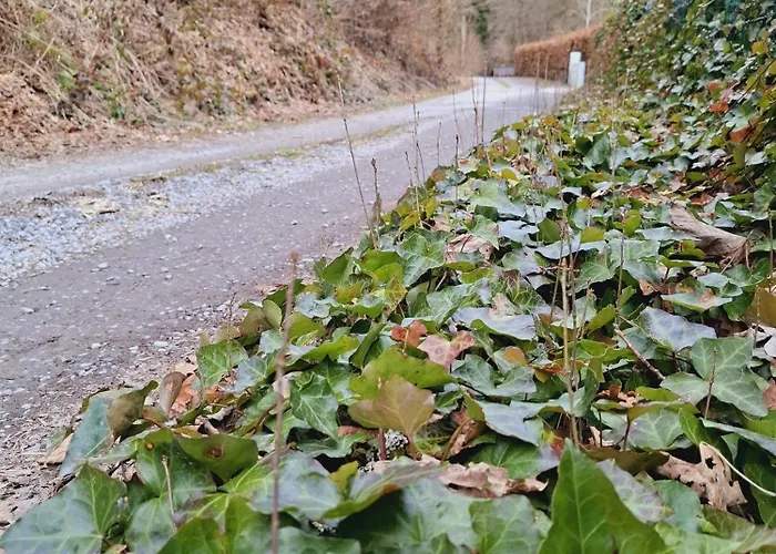 Ferienhaus Le Vieux Pont - Maison De Au Bord De L'eau *